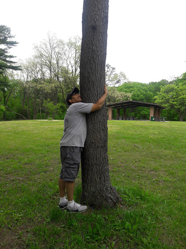 Nature Preserve «Swallow Cliff Woods South», reviews and photos, Illinois Rt 83 & US Rt 45, Palos Park, IL 60464, USA