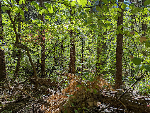 Rock Creek Nature Trail