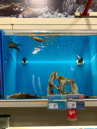 Pet Supply Store «PetSmart», reviews and photos, 1705 Mall of Georgia Blvd, Buford, GA 30519, USA
