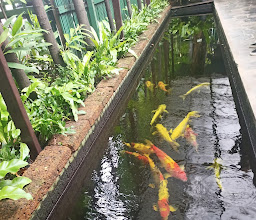 The Suan Pakkad Palace photo