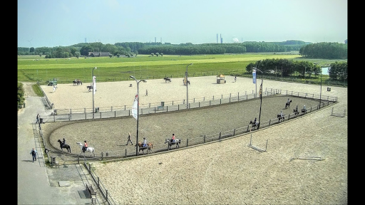 Pony riding places in Rotterdam