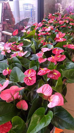 Discount Store «Walmart», reviews and photos, 795 Texas Ave, Bridge City, TX 77611, USA