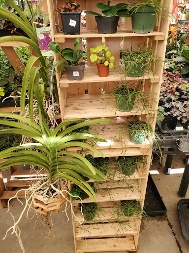 Hardware Store «Proctor Ace Hardware», reviews and photos, 1281 Atlantic Blvd, Neptune Beach, FL 32266, USA