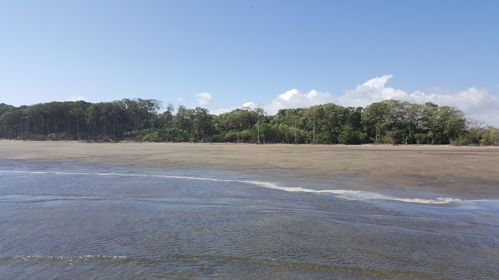 Foto di Playlita Las Marinas con una superficie del sabbia scura