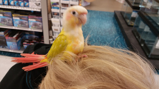 Pet Supply Store «Petco Animal Supplies», reviews and photos, 3387 Steelyard Dr, Cleveland, OH 44109, USA