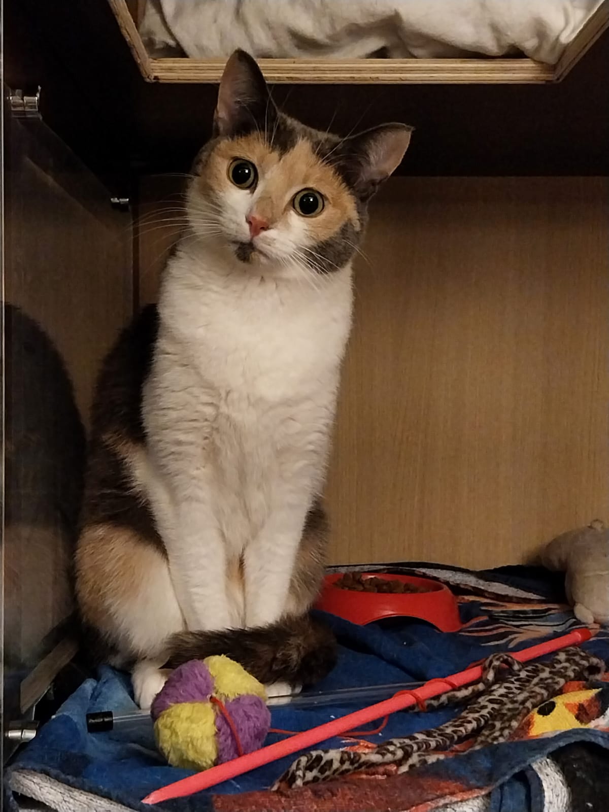 Photo n° 4 de l'avis de Deydey. fait le 28/11/2023 à 13:37