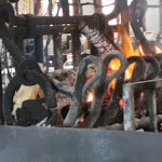 Photo n°28 de l'avis de Valentino.a fait le 10/03/2022 à 21:28 sur le  Ristorante Oasi Val Pisani da Katia à Porto Viro