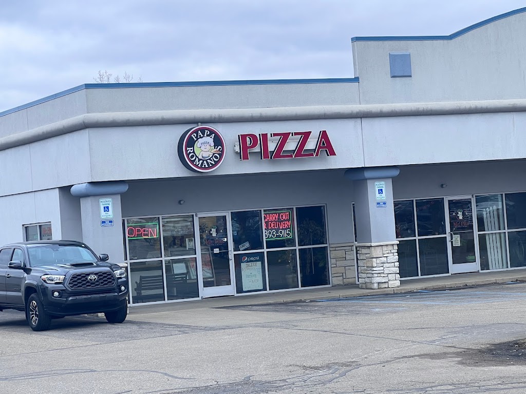 Papa Romano's Pizza & Mr. Pita 49423