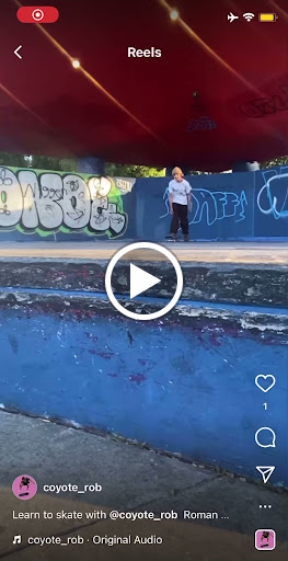 Coyote Skateboard Lessons Surf Lessons Venice Beach Santa Monica Los Angeles image