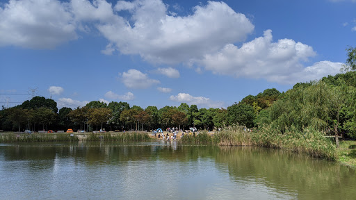 Pudong Jinhai Wetland Park