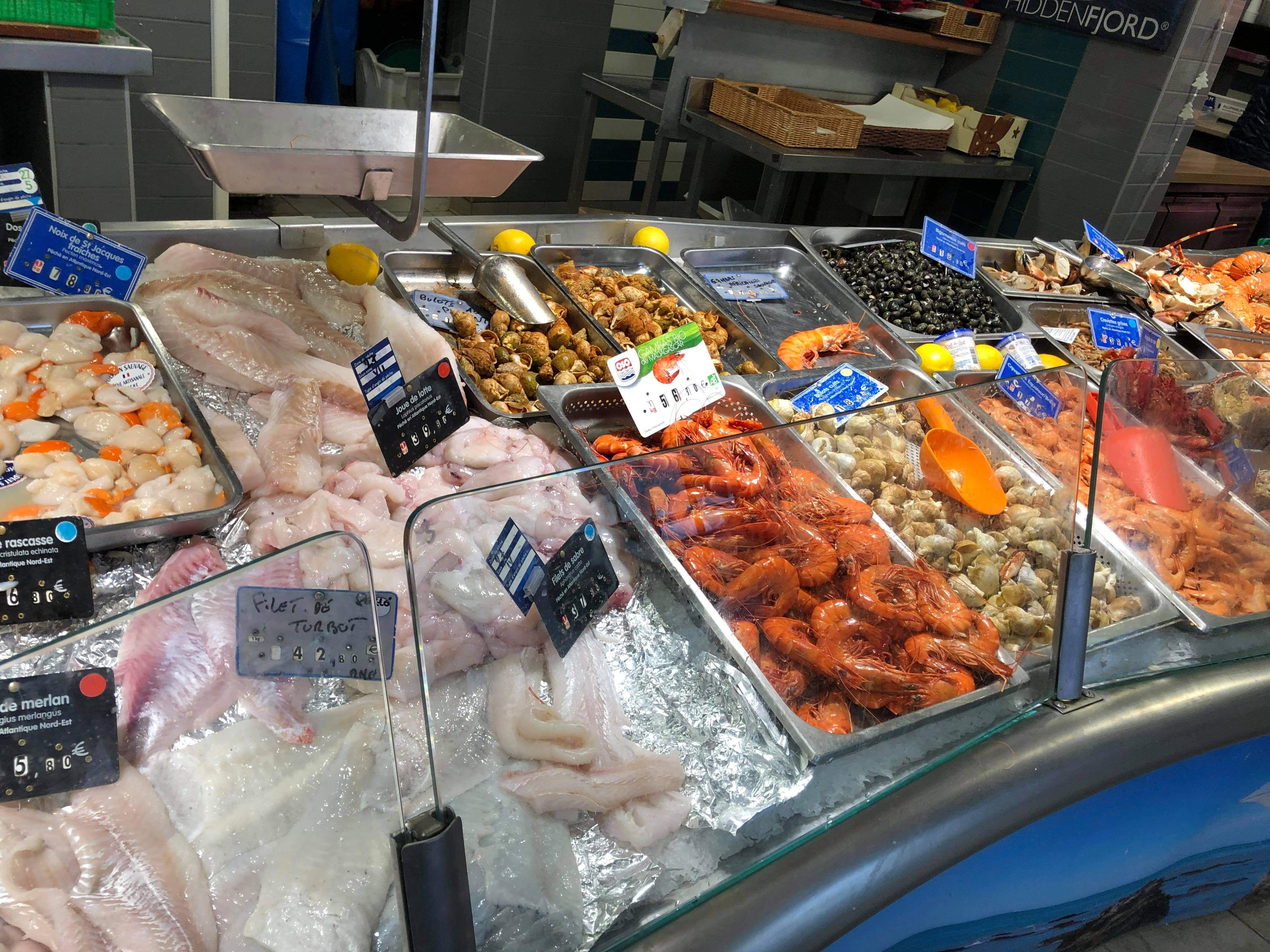 Photo n° 7 de l'avis de dragon. fait le 24/12/2020 à 15:42