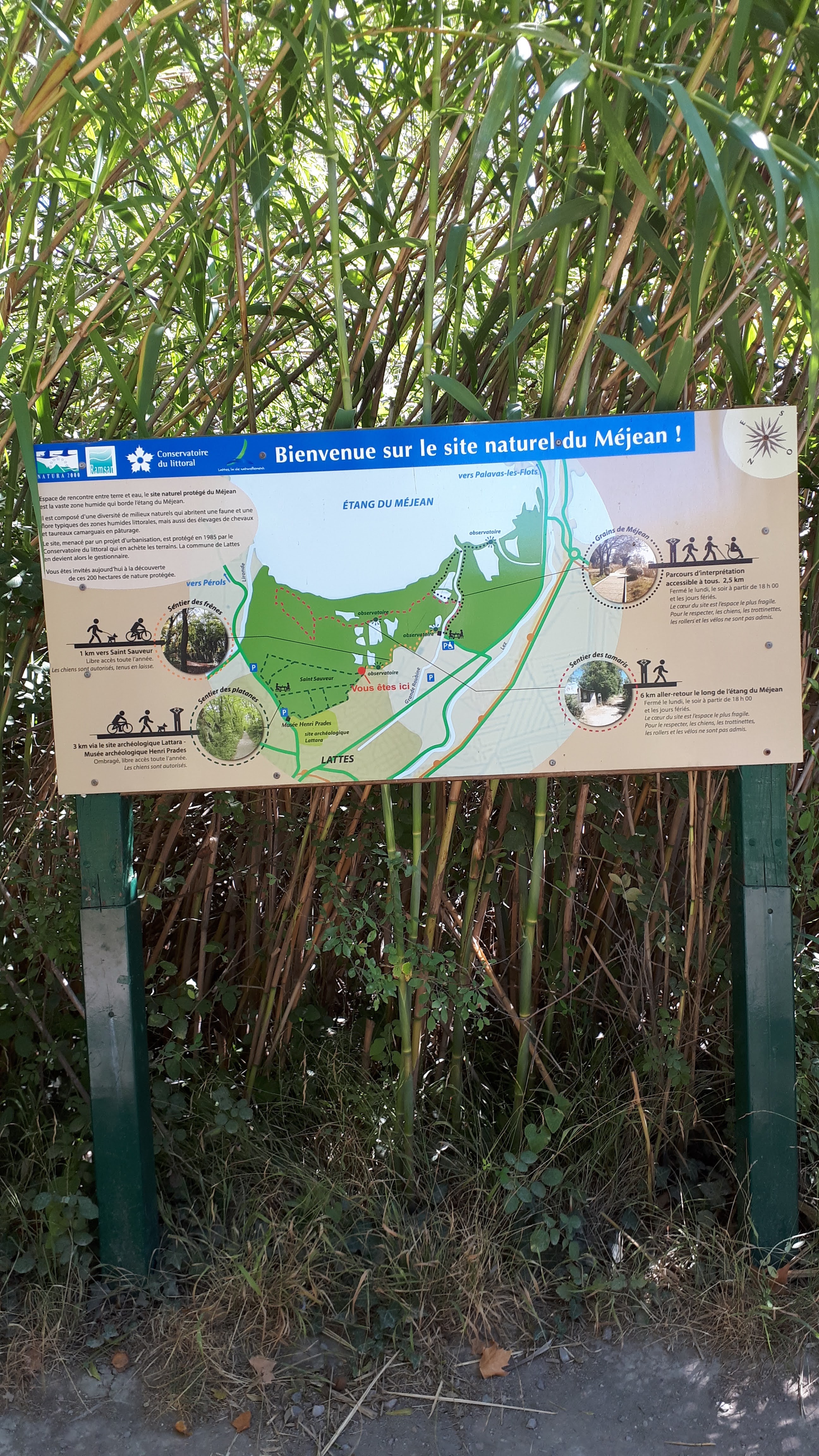 Photo n° 12 de l'avis de Bernard.e fait le 25/08/2020 à 17:03