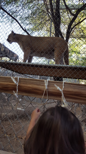 Wildlife Rescue Service «Southwest Wildlife Conservation Center», reviews and photos, 27026 N 156th St, Scottsdale, AZ 85262, USA