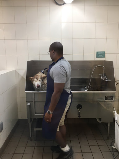 Pet Supply Store «PetPeople», reviews and photos, 3330 Washtenaw Ave, Ann Arbor, MI 48104, USA