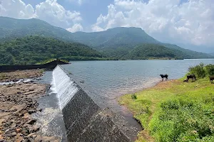 Jambhali Dam image