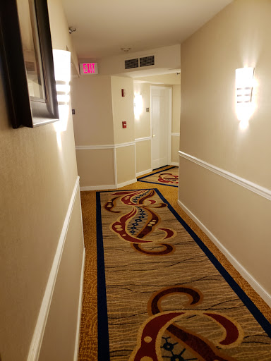 Hotel «Hilton Arlington», reviews and photos, 950 N Stafford St, Arlington, VA 22203, USA