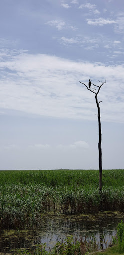 Golf Club «Kilmarlic Golf Club», reviews and photos, 215 West Side Ln, Powells Point, NC 27966, USA