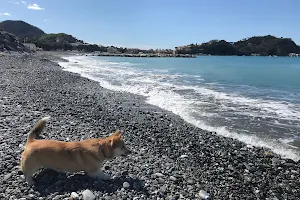Spiaggia per cani image