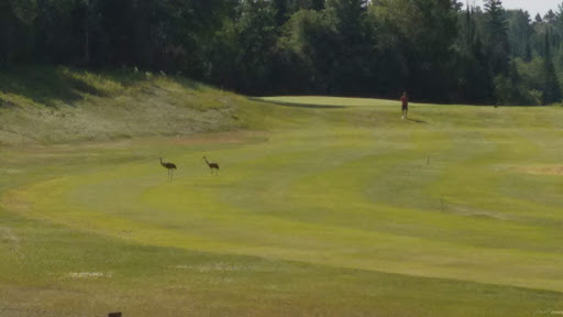 Country Club «Pinewood Country Club», reviews and photos, 9000 Pinewood Valley Rd, Harshaw, WI 54529, USA