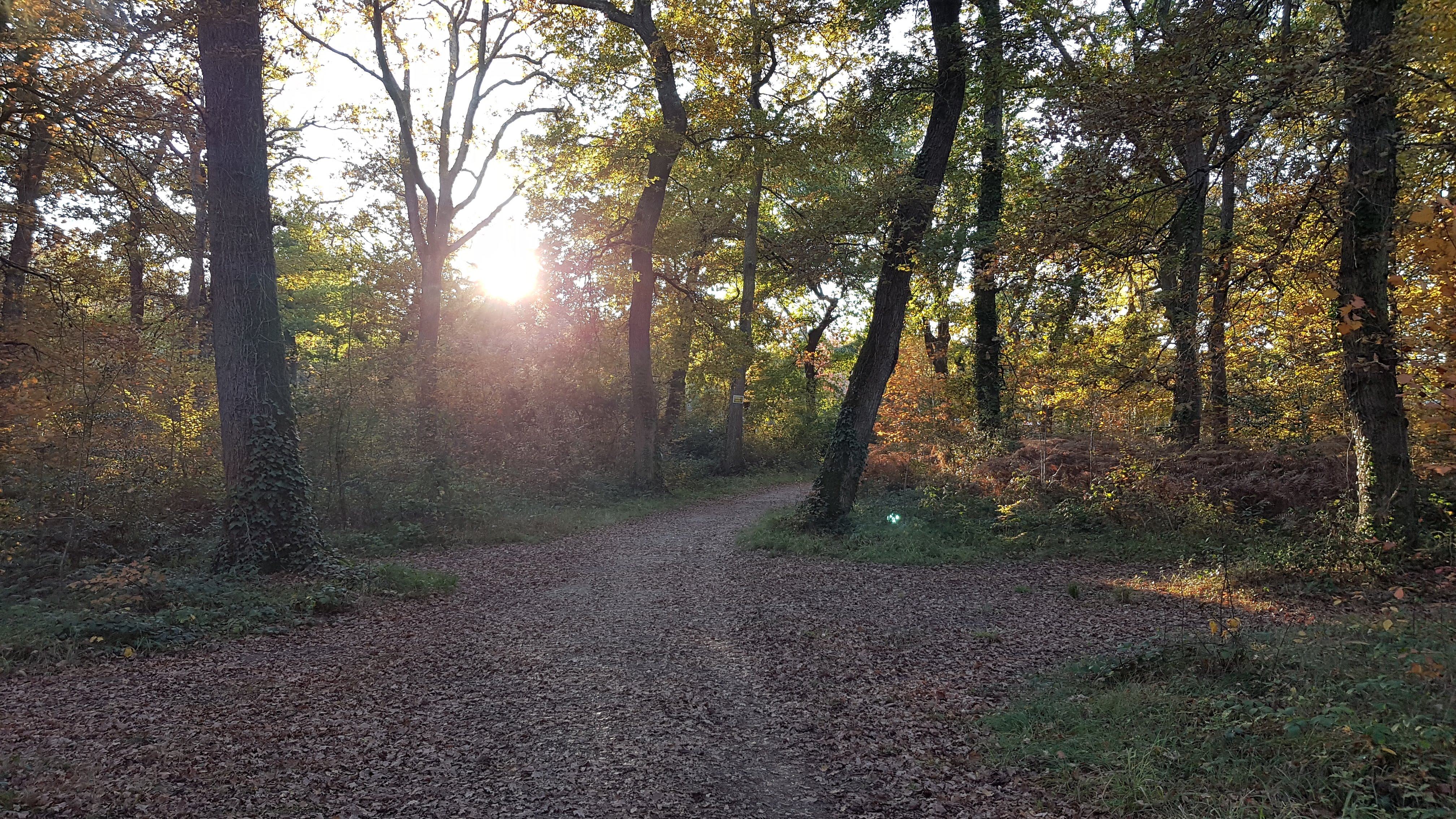 Photo n° 1 de l'avis de Valentin. fait le 20/11/2017 à 16:10
