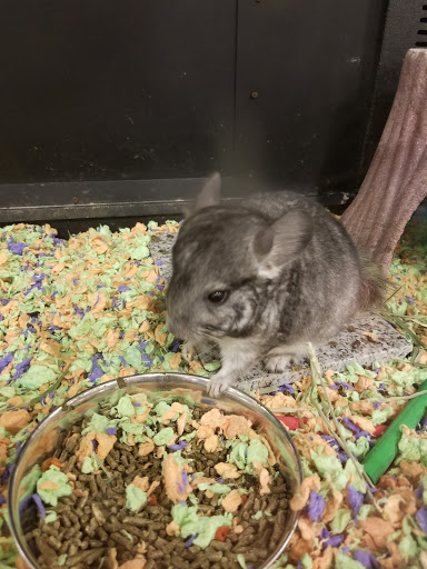 Pet Supply Store «PetSmart», reviews and photos, 5640 Cedar Lake Rd, Minneapolis, MN 55416, USA