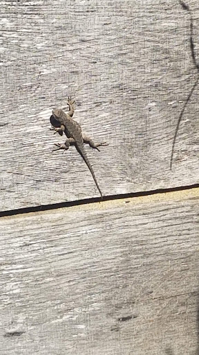 Battle Site «Fort Donelson National Battlefield», reviews and photos, 120 Lock D Rd, Dover, TN 37058, USA