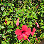 Photo n°7 de l'avis de Lucie.� fait le 10/07/2019 à 08:22 sur le  BV Borgo del Principe à Zambrone