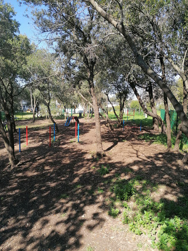 parc à chien