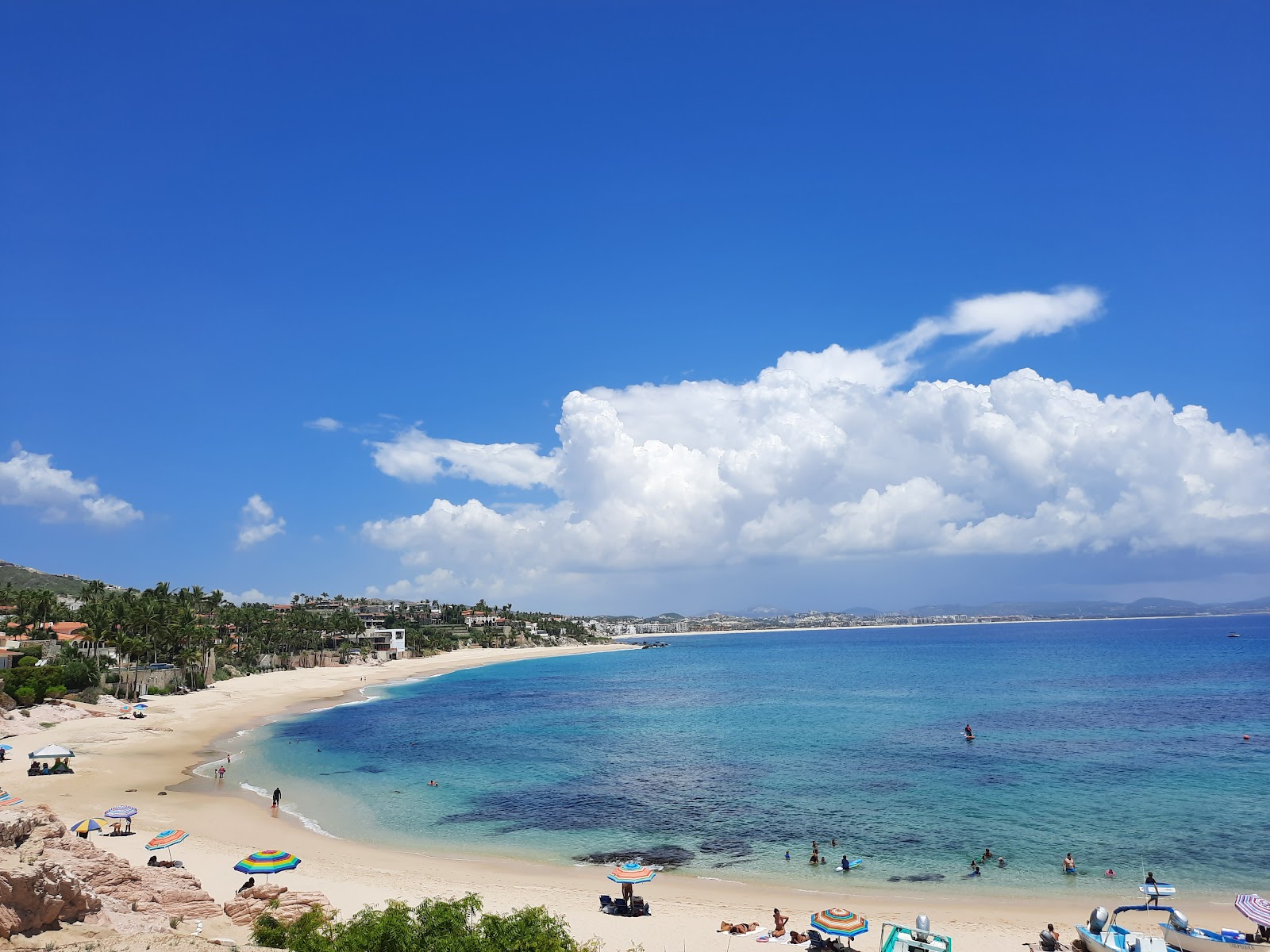 Photo de Playa Palmilla avec un niveau de propreté de très propre