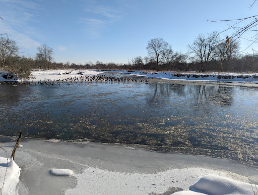 Hiking Area «Hammel Woods - Route 59 Access», reviews and photos, 554 Brook Forest Ave, Shorewood, IL 60404, USA