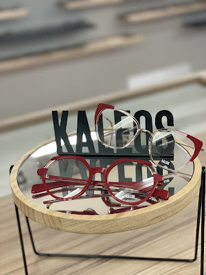 Montier optique à La Porte-du-Der