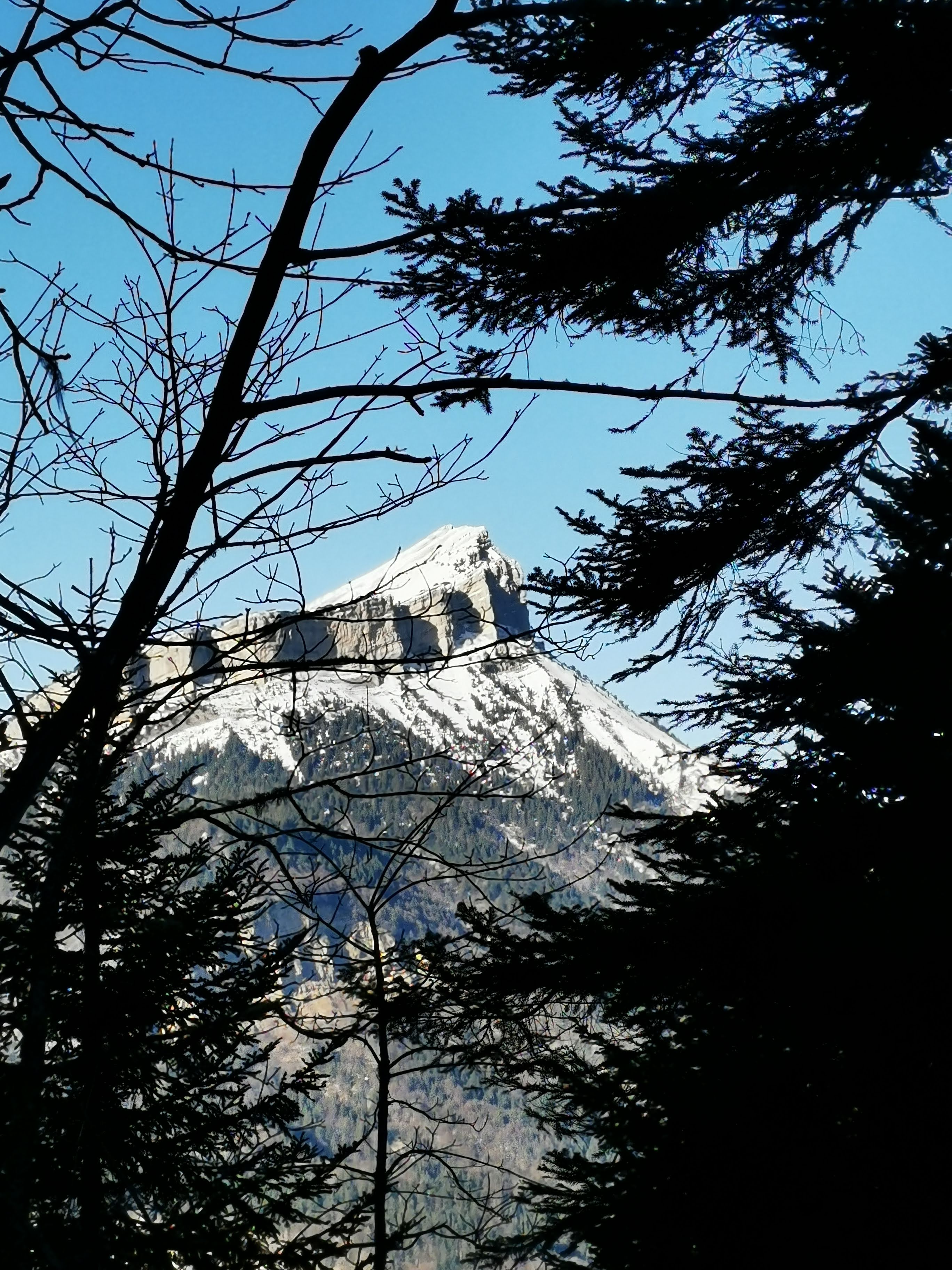 Photo n° 6 de l'avis de Michael.a fait le 07/02/2020 à 16:28