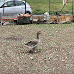 Photo n°8 de l'avis de Giulia.a fait le 26/04/2024 à 18:57 sur le  Scrigno di Porpora à San Pio delle Camere