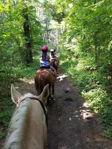 Tourist Attraction «C and L Stables», reviews and photos, 1095 Ives Rd, East Greenwich, RI 02818, USA