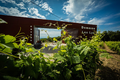 Domaine Les Lys à Blauzac