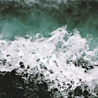 Land & Sea Brewing Company Ltd. in Comox, British Columbia - 4.70 star rating