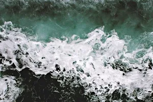 Land & Sea Brewing Company Ltd. image