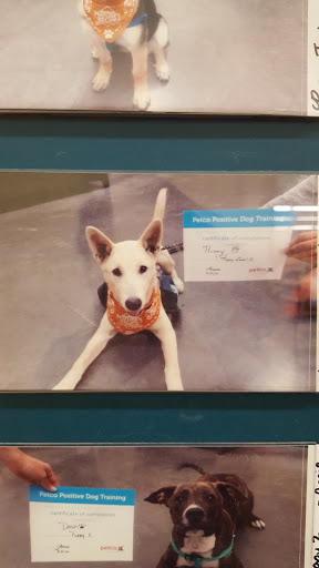 Petco image