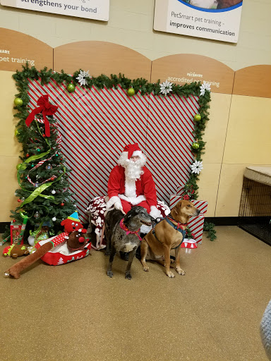 Pet Supply Store «PetSmart», reviews and photos, 916 Loganville Hwy, Bethlehem, GA 30620, USA