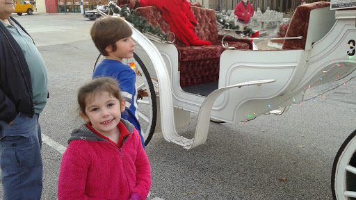 Pet Supply Store «The Stock Market Country Store», reviews and photos, 4479 Dover Pl SE, Conyers, GA 30013, USA