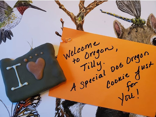 Pet Supply Store «Healthy Pet», reviews and photos, 16140 Boones Ferry Rd, Lake Oswego, OR 97035, USA