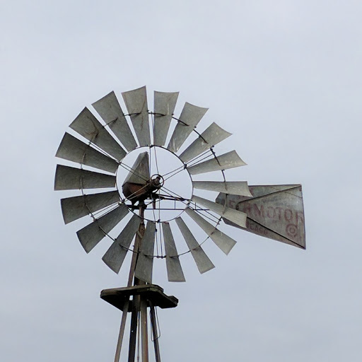 Pet Supply Store «Silva Ranches Feed Store», reviews and photos, 12310 Santa Teresa Blvd, San Martin, CA 95046, USA