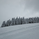 Photo n°3 de l'avis de RS. fait le 06/02/2019 à 11:17 sur le  St.Gréé à Saint Gree