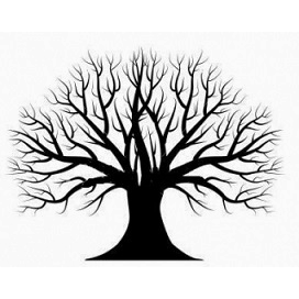 Legal Services «The Branch Law Firm, PLLC», reviews and photos