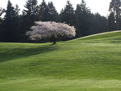 Golf Club «Fircrest Golf Club», reviews and photos, 1500 Regents Blvd, Fircrest, WA 98466, USA