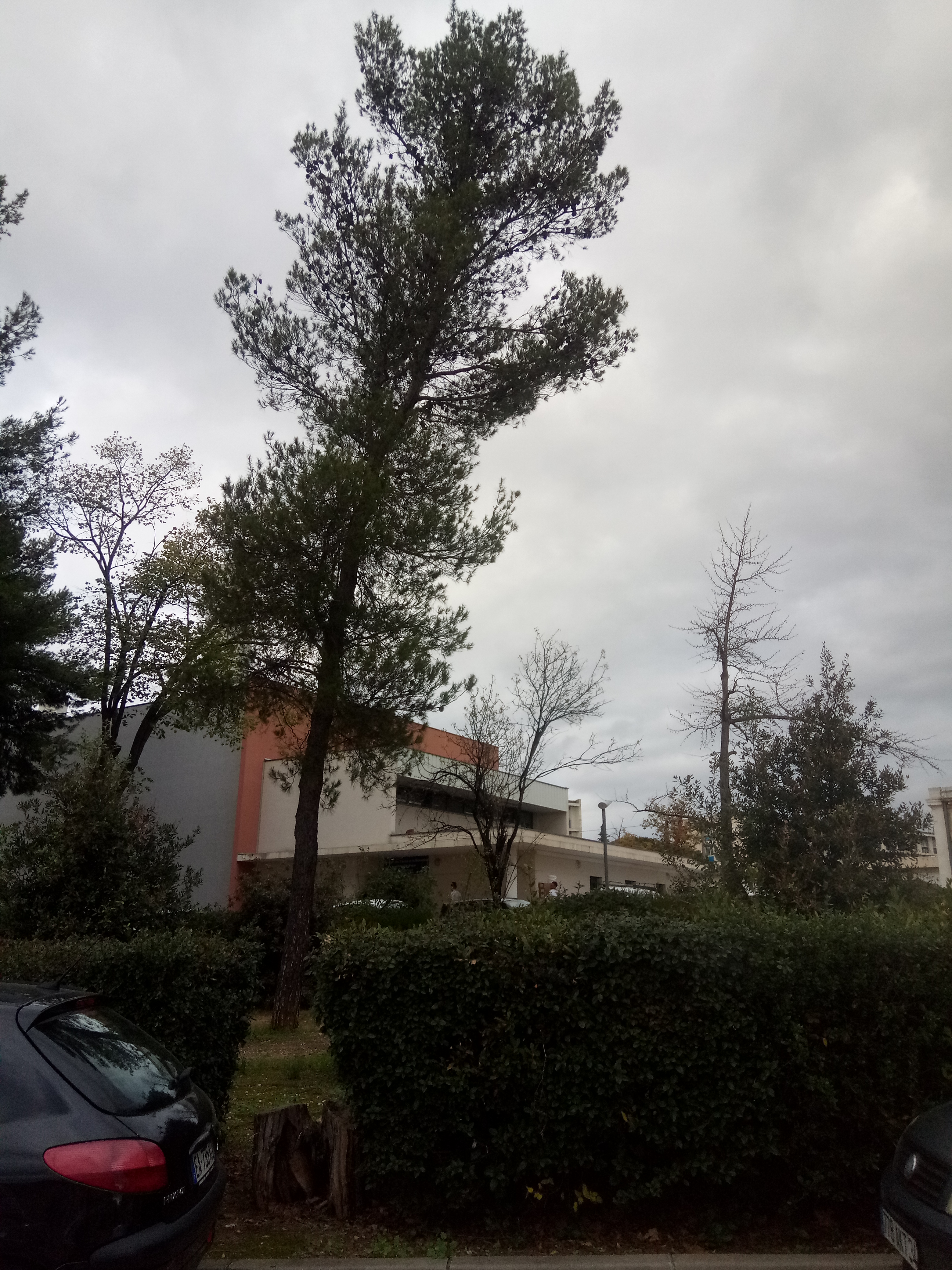 Photo n° 17 de l'avis de Estranged.l fait le 27/11/2019 à 20:09