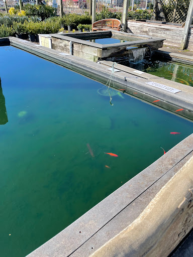 Garden Center «Merrifield Garden Center», reviews and photos, 12101 Lee Hwy, Fairfax, VA 22030, USA