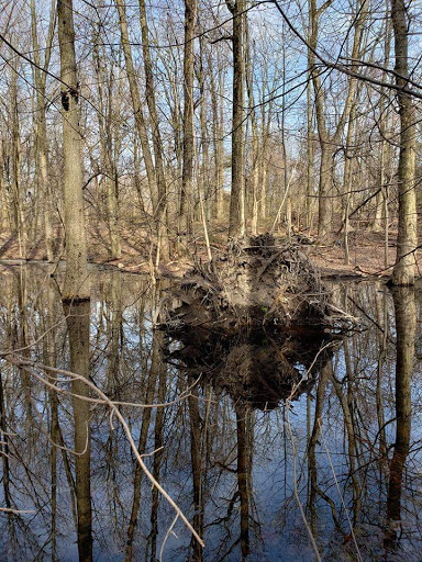 Recreation Center «Greenbelt Recreation Center», reviews and photos, 501 Brielle Ave, Staten Island, NY 10314, USA