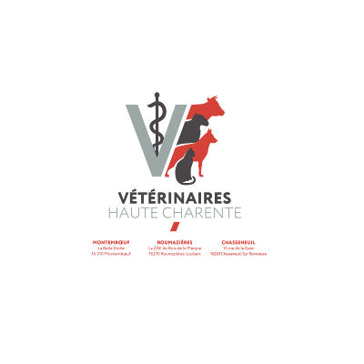 Vétérinaires de Haute Charente à Chasseneuil-sur-Bonnieure