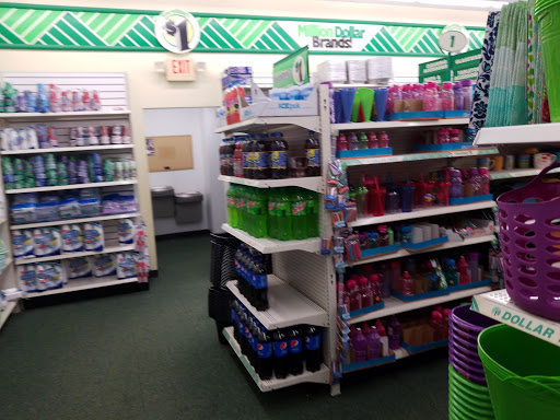 Dollar Store «Dollar Tree», reviews and photos, 6113 Ronald Reagan Dr, Lake St Louis, MO 63367, USA